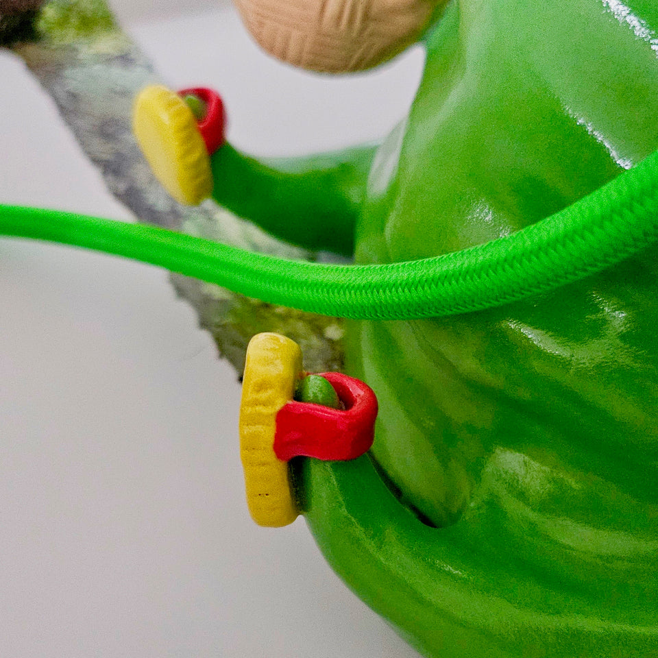 The froggy lamp